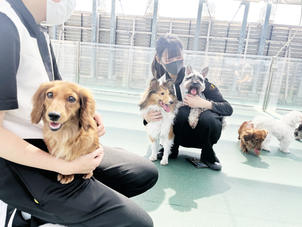 Wan活でお散歩♪